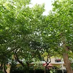 Rhodes Retreat: Modern Comfort In Serene Luxury דירה *